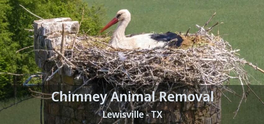 Chimney Animal Removal Lewisville - TX