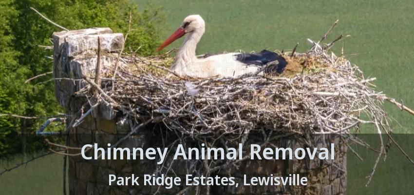 Chimney Animal Removal Park Ridge Estates, Lewisville - TX
