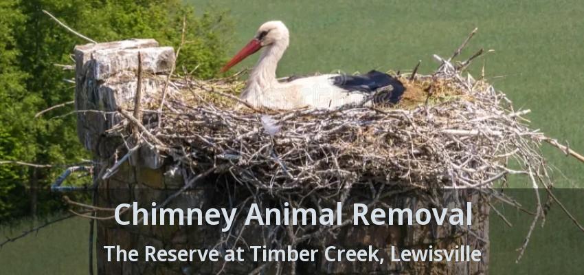 Chimney Animal Removal The Reserve at Timber Creek, Lewisville - TX