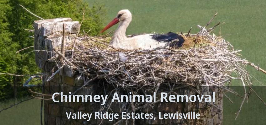 Chimney Animal Removal Valley Ridge Estates, Lewisville - TX