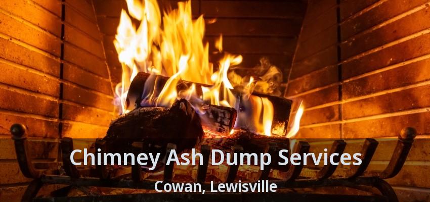 Chimney Ash Dump Services Cowan, Lewisville - TX