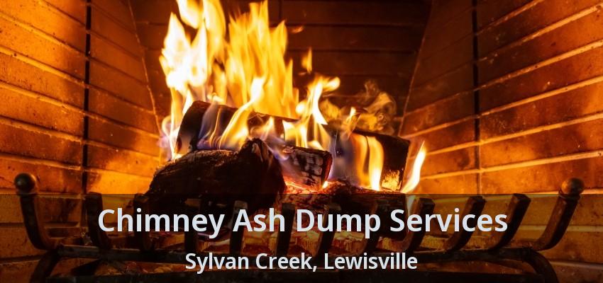 Chimney Ash Dump Services Sylvan Creek, Lewisville - TX