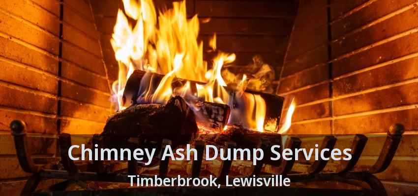 Chimney Ash Dump Services Timberbrook, Lewisville - TX
