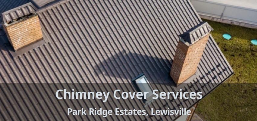 Chimney Cover Services Park Ridge Estates, Lewisville - TX