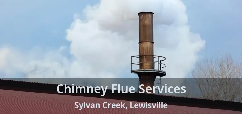 Chimney Flue Services Sylvan Creek, Lewisville - TX