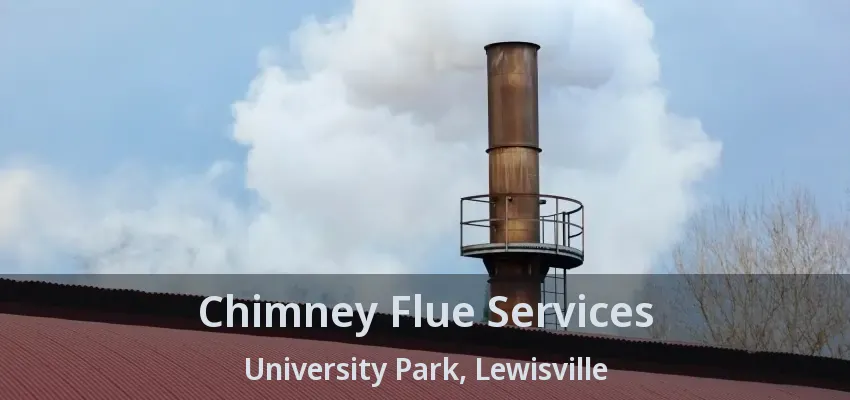Chimney Flue Services University Park, Lewisville - TX