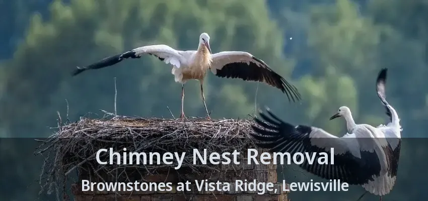 Chimney Nest Removal Brownstones at Vista Ridge, Lewisville - TX