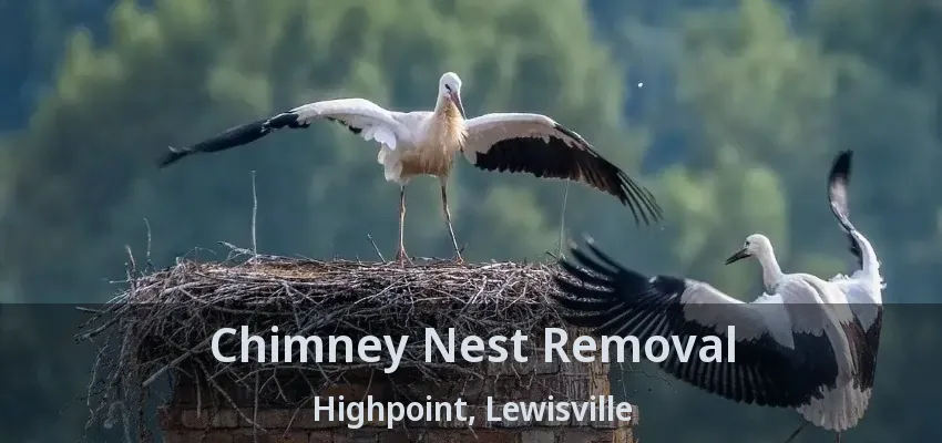 Chimney Nest Removal Highpoint, Lewisville - TX