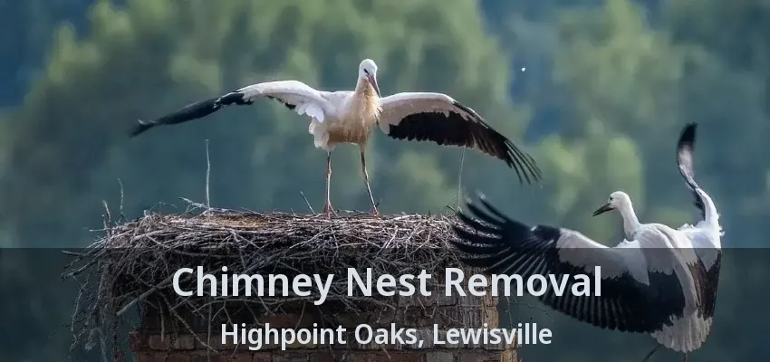 Chimney Nest Removal Highpoint Oaks, Lewisville - TX