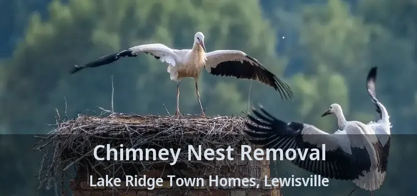 Chimney Nest Removal Lake Ridge Town Homes, Lewisville - TX