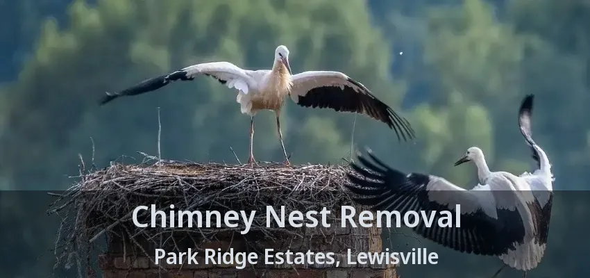Chimney Nest Removal Park Ridge Estates, Lewisville - TX