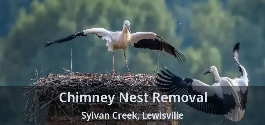 Chimney Nest Removal Sylvan Creek, Lewisville - TX