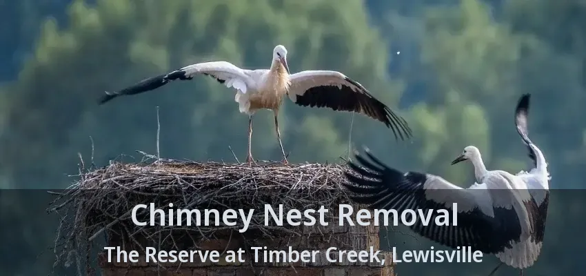 Chimney Nest Removal The Reserve at Timber Creek, Lewisville - TX