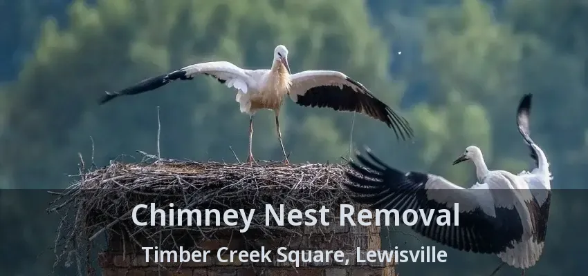 Chimney Nest Removal Timber Creek Square, Lewisville - TX