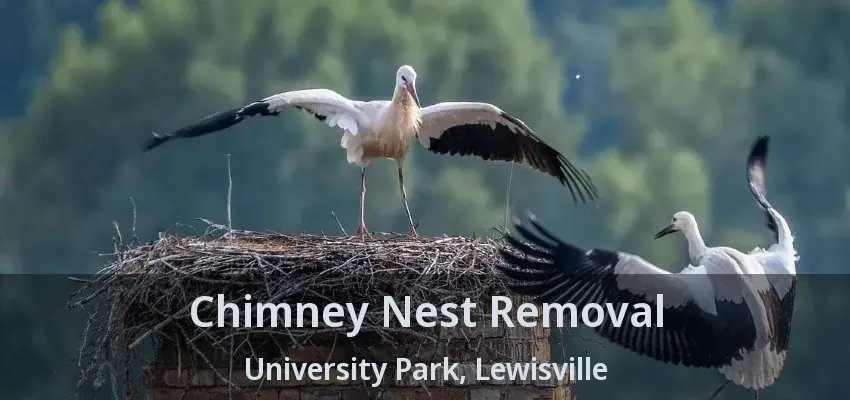 Chimney Nest Removal University Park, Lewisville - TX