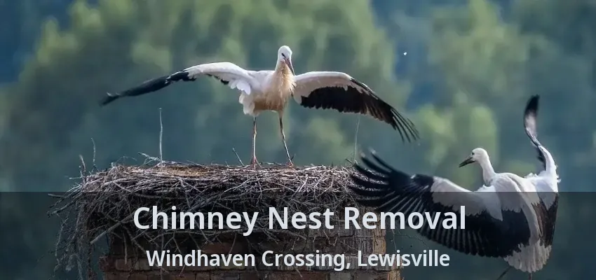 Chimney Nest Removal Windhaven Crossing, Lewisville - TX