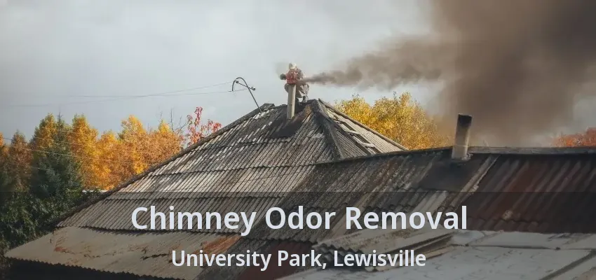 Chimney Odor Removal University Park, Lewisville - TX