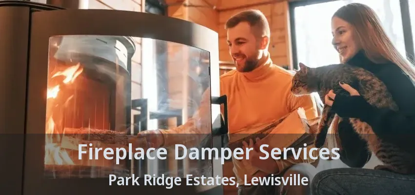 Fireplace Damper Services Park Ridge Estates, Lewisville - TX