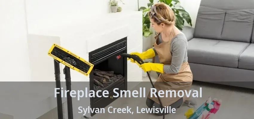 Fireplace Smell Removal Sylvan Creek, Lewisville - TX