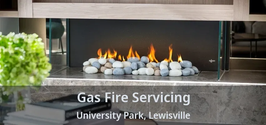 Gas Fire Servicing University Park, Lewisville - TX