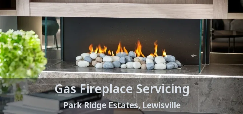 Gas Fireplace Servicing Park Ridge Estates, Lewisville - TX
