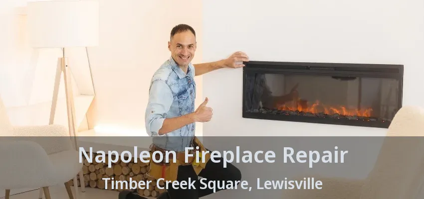 Napoleon Fireplace Repair Timber Creek Square, Lewisville - TX