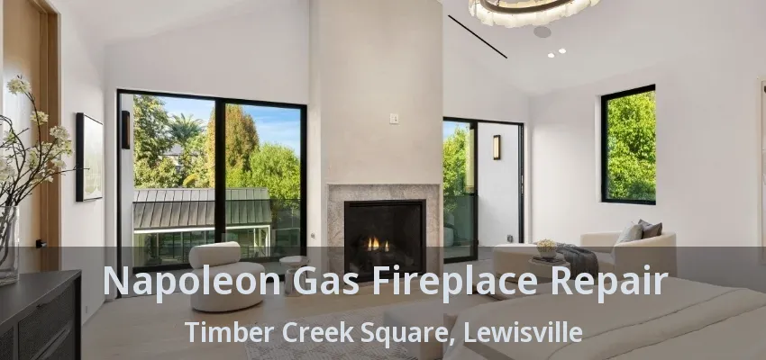 Napoleon Gas Fireplace Repair Timber Creek Square, Lewisville - TX