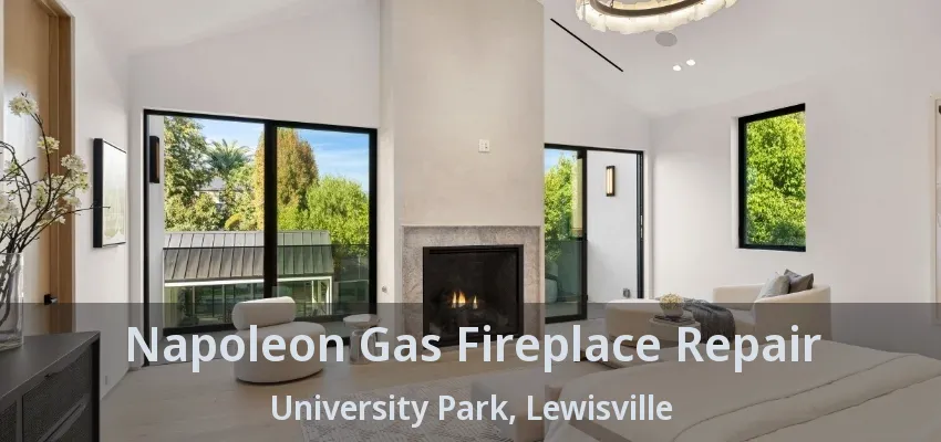 Napoleon Gas Fireplace Repair University Park, Lewisville - TX
