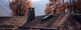Chimney Animal Removal Lewisville