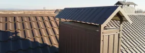 Chimney Cap Services Lewisville