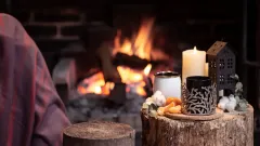 Fireplace Inspection Lewisville