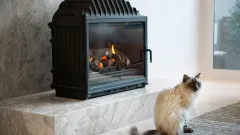 Wood Burning Fireplace Repair Lewisville