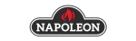 Napoleon Enviro Fireplace Repair in Lewisville