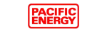 Pacific Energy Enviro Fireplace Repair in Lewisville